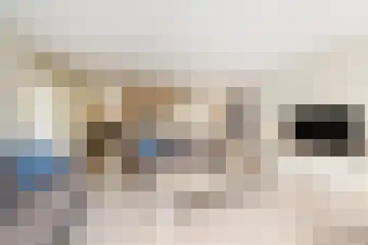 Nieuwenhoornstraat 14 Zoetermeer thumbnail 13