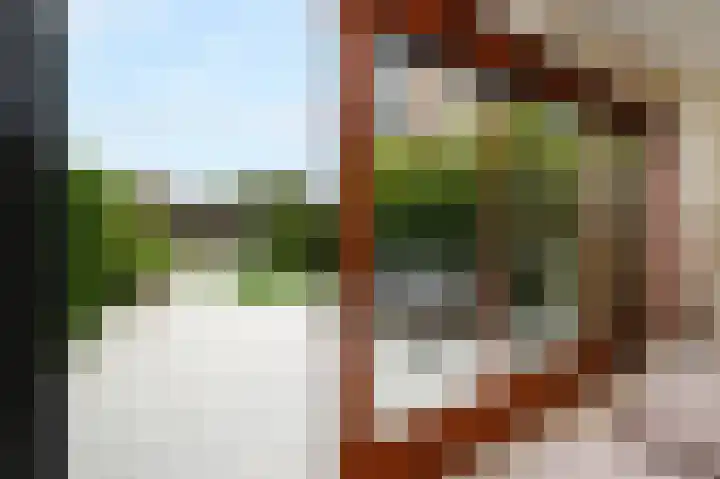 Nieuwenhoornstraat 14 Zoetermeer thumbnail 15