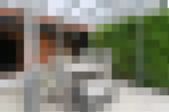 Nieuwenhoornstraat 14 Zoetermeer thumbnail 19