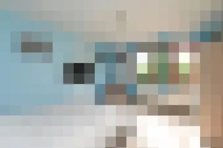 Nieuwenhoornstraat 14 Zoetermeer thumbnail 31