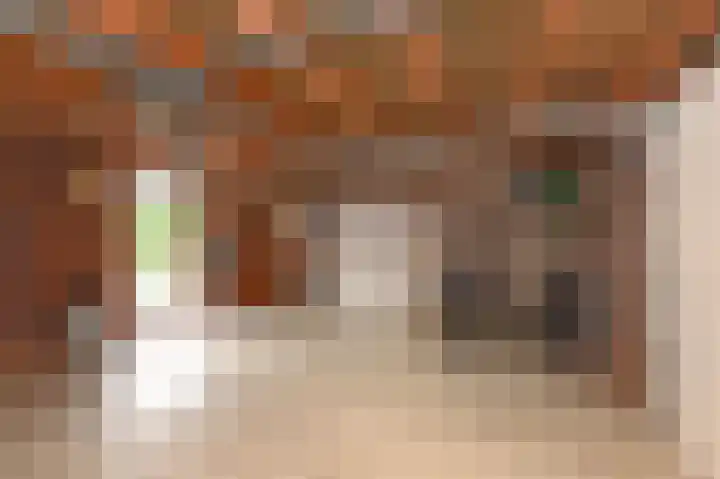 Nieuwenhoornstraat 14 Zoetermeer thumbnail 4