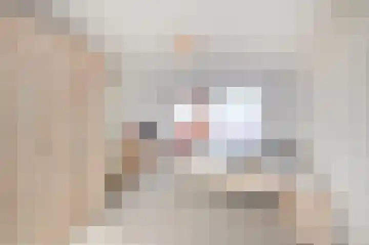 Nieuwenhoornstraat 14 Zoetermeer thumbnail 42