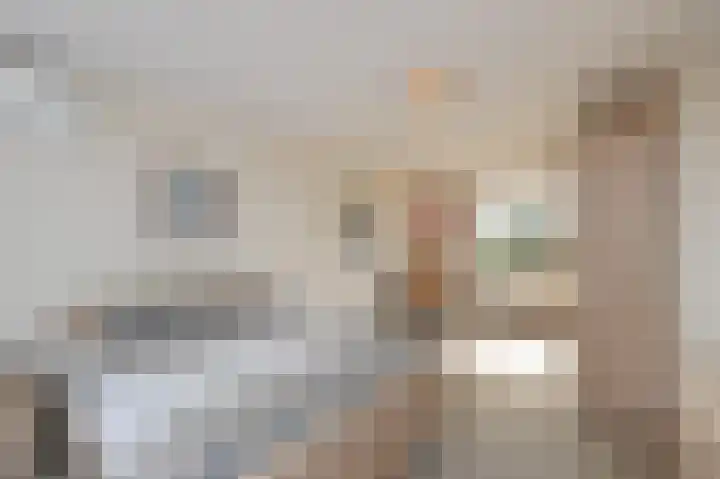 Nieuwenhoornstraat 14 Zoetermeer thumbnail 43