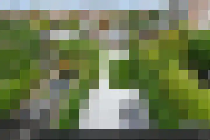 Nieuwenhoornstraat 14 Zoetermeer thumbnail 46