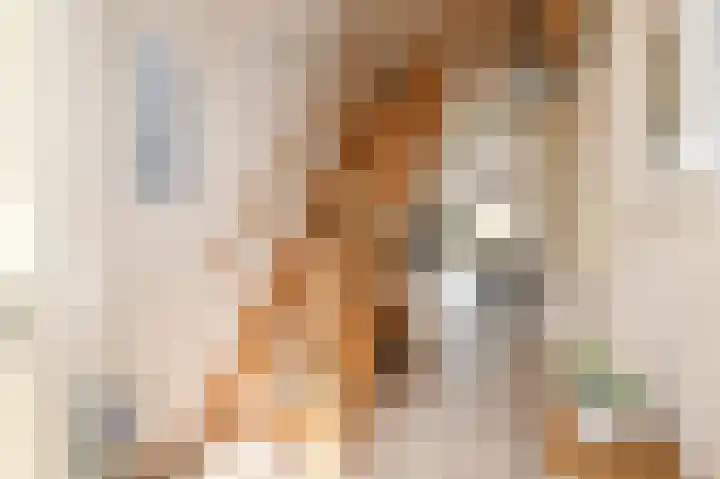 Nieuwenhoornstraat 14 Zoetermeer thumbnail 5