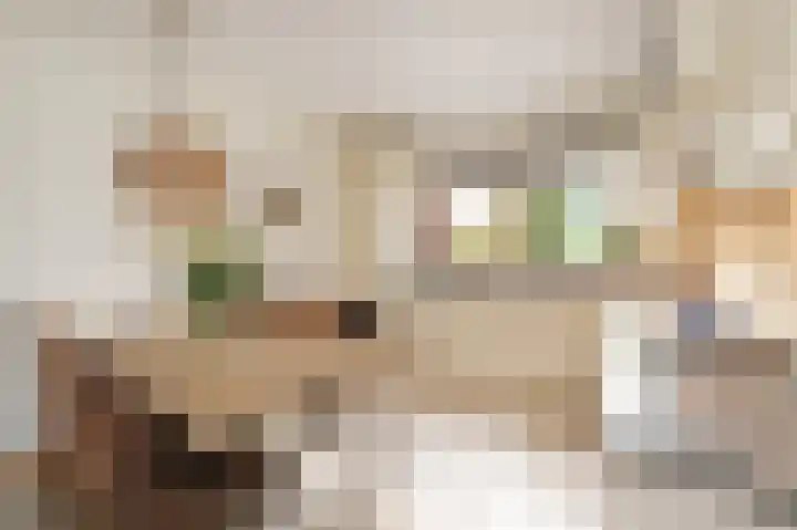 Nieuwenhoornstraat 14 Zoetermeer thumbnail 7