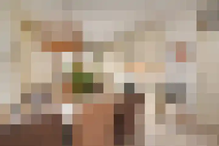 Nieuwenhoornstraat 14 Zoetermeer thumbnail 8