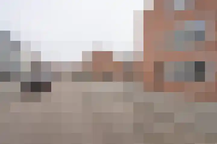 Nieuwenhoornstraat 146 Rotterdam thumbnail 36
