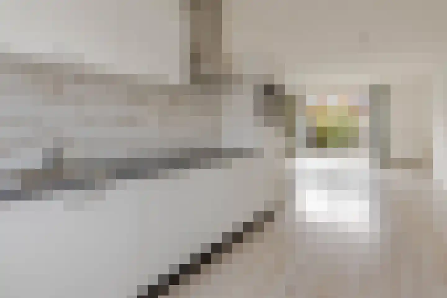 Nieuwenhoornstraat 30 Rotterdam thumbnail 11