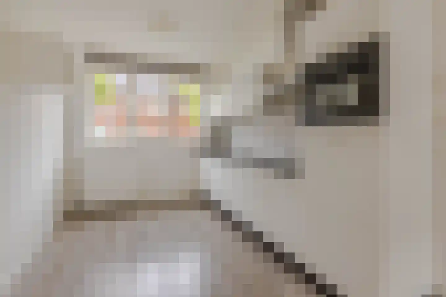 Nieuwenhoornstraat 30 Rotterdam thumbnail 4