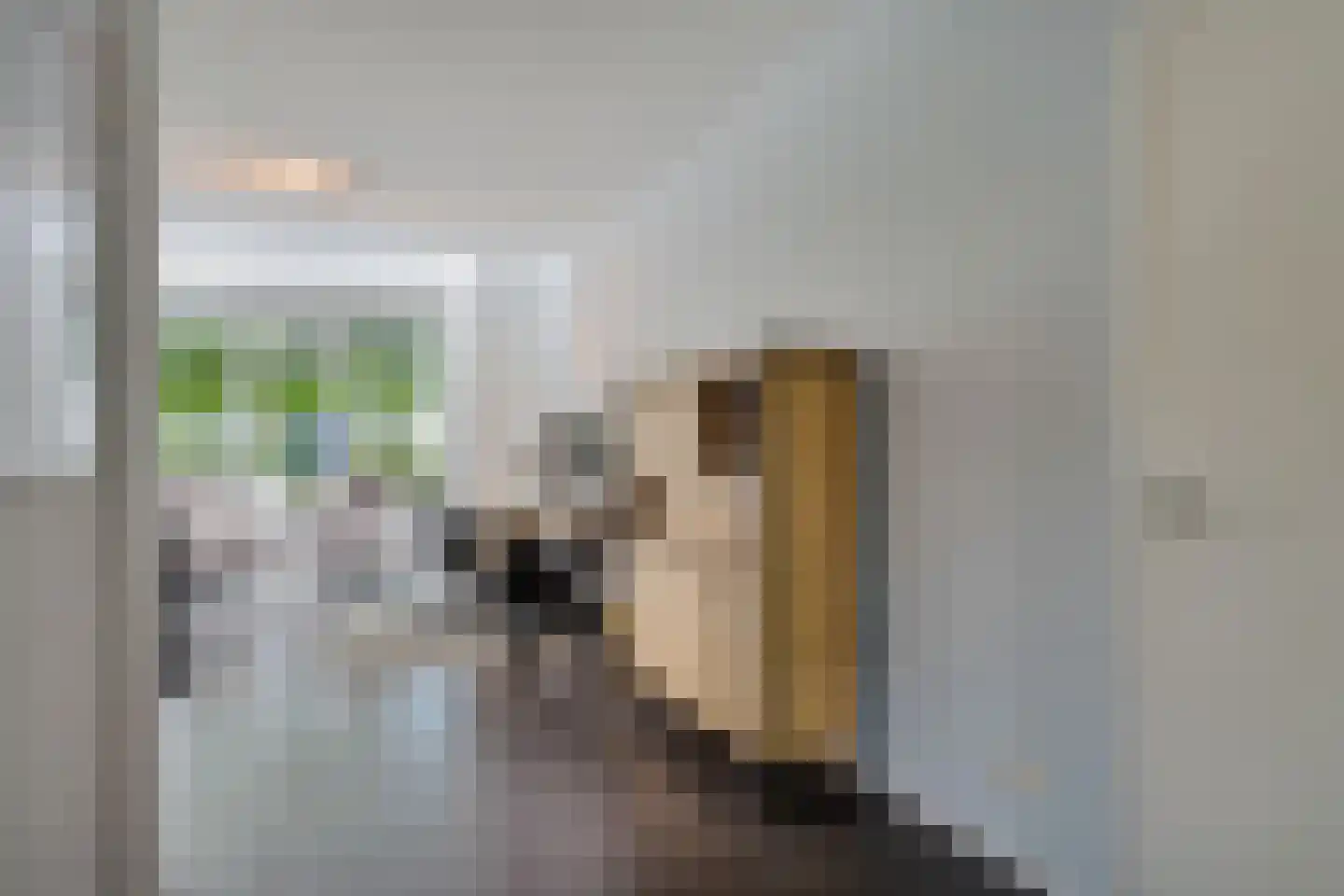 Nieuwenhoornstraat 5 Zoetermeer thumbnail 14