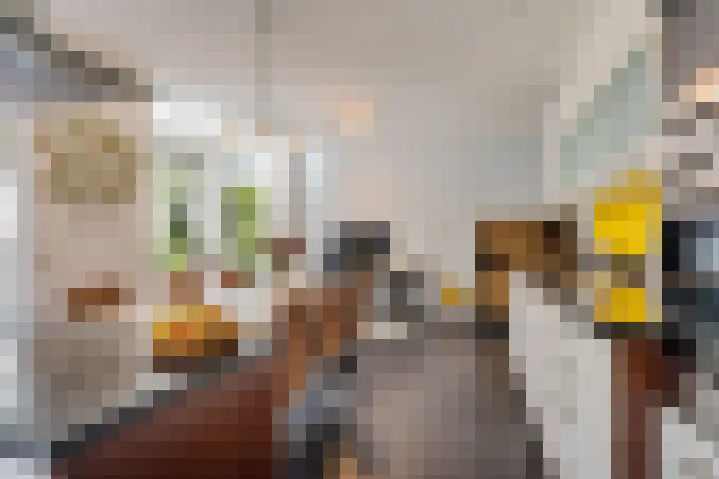 Nieuwenhoornstraat 5 Zoetermeer thumbnail 23