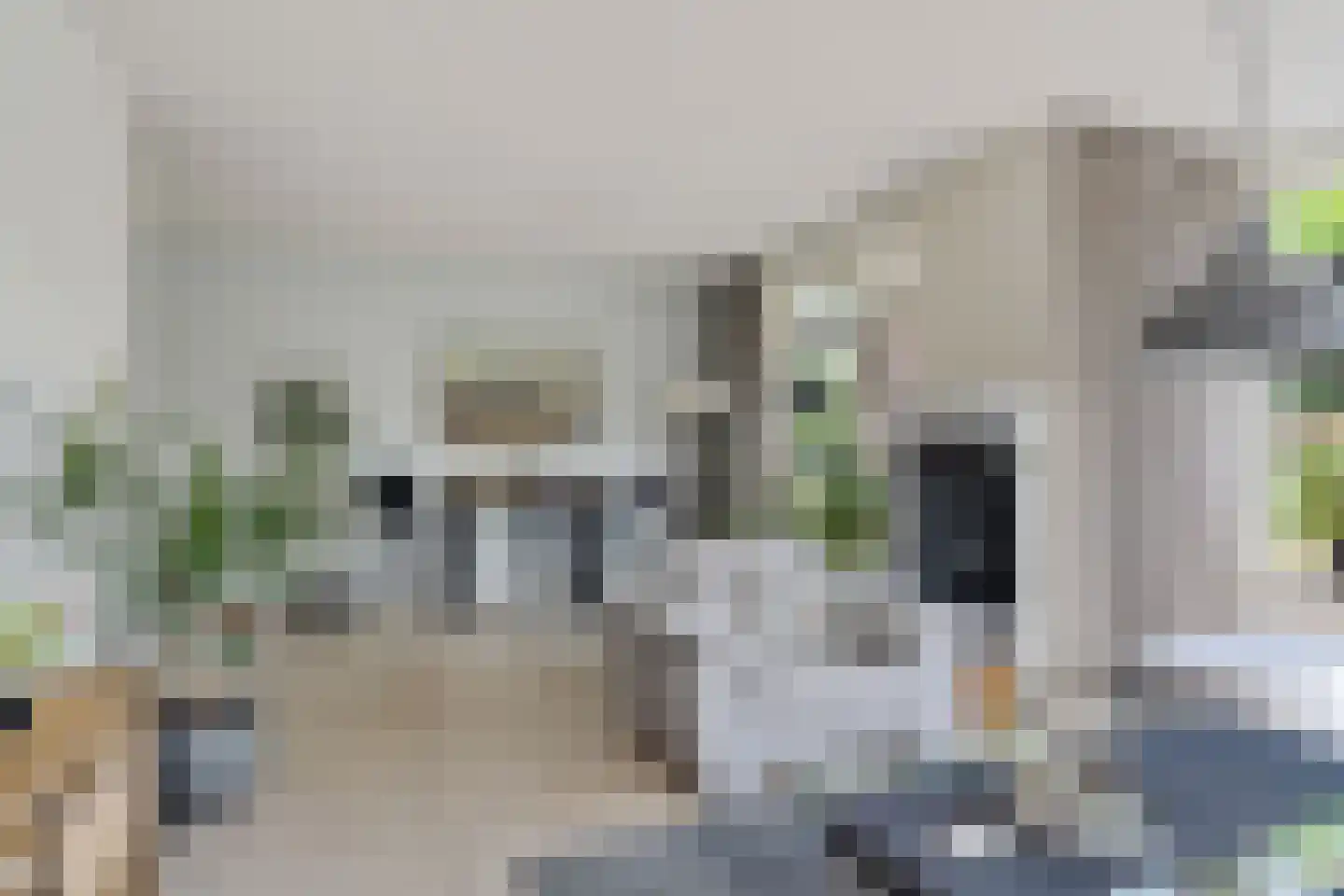 Nieuwenhoornstraat 5 Zoetermeer thumbnail 30