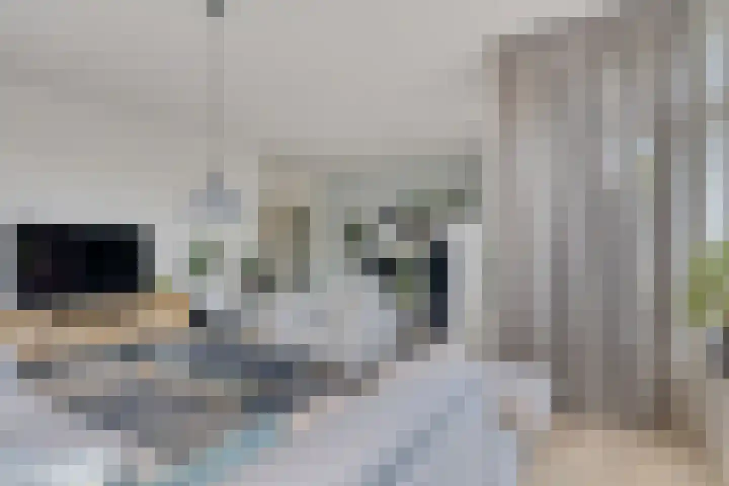 Nieuwenhoornstraat 5 Zoetermeer thumbnail 31