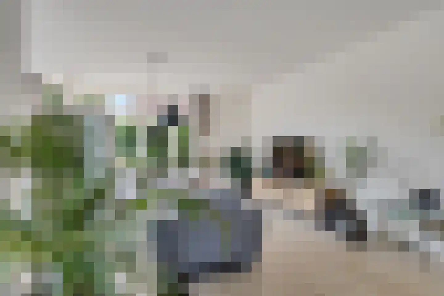 Nieuwenhoornstraat 5 Zoetermeer thumbnail 33