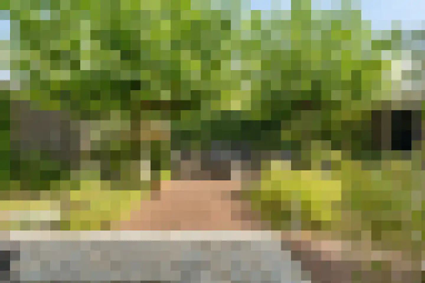 Nieuwenhoornstraat 5 Zoetermeer thumbnail 36