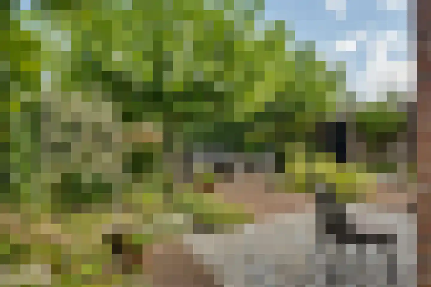 Nieuwenhoornstraat 5 Zoetermeer thumbnail 37