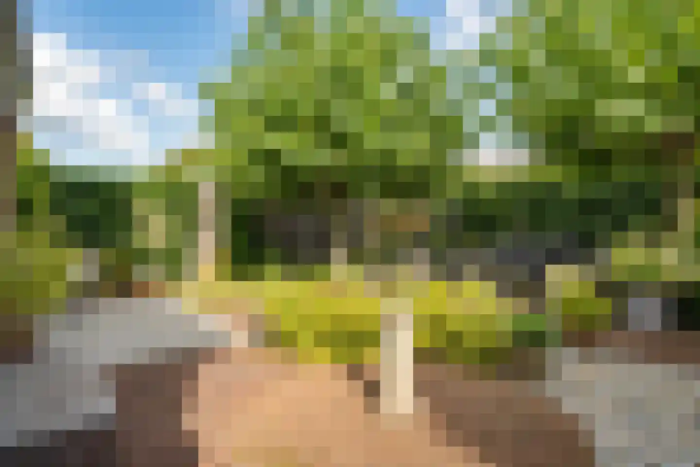 Nieuwenhoornstraat 5 Zoetermeer thumbnail 39