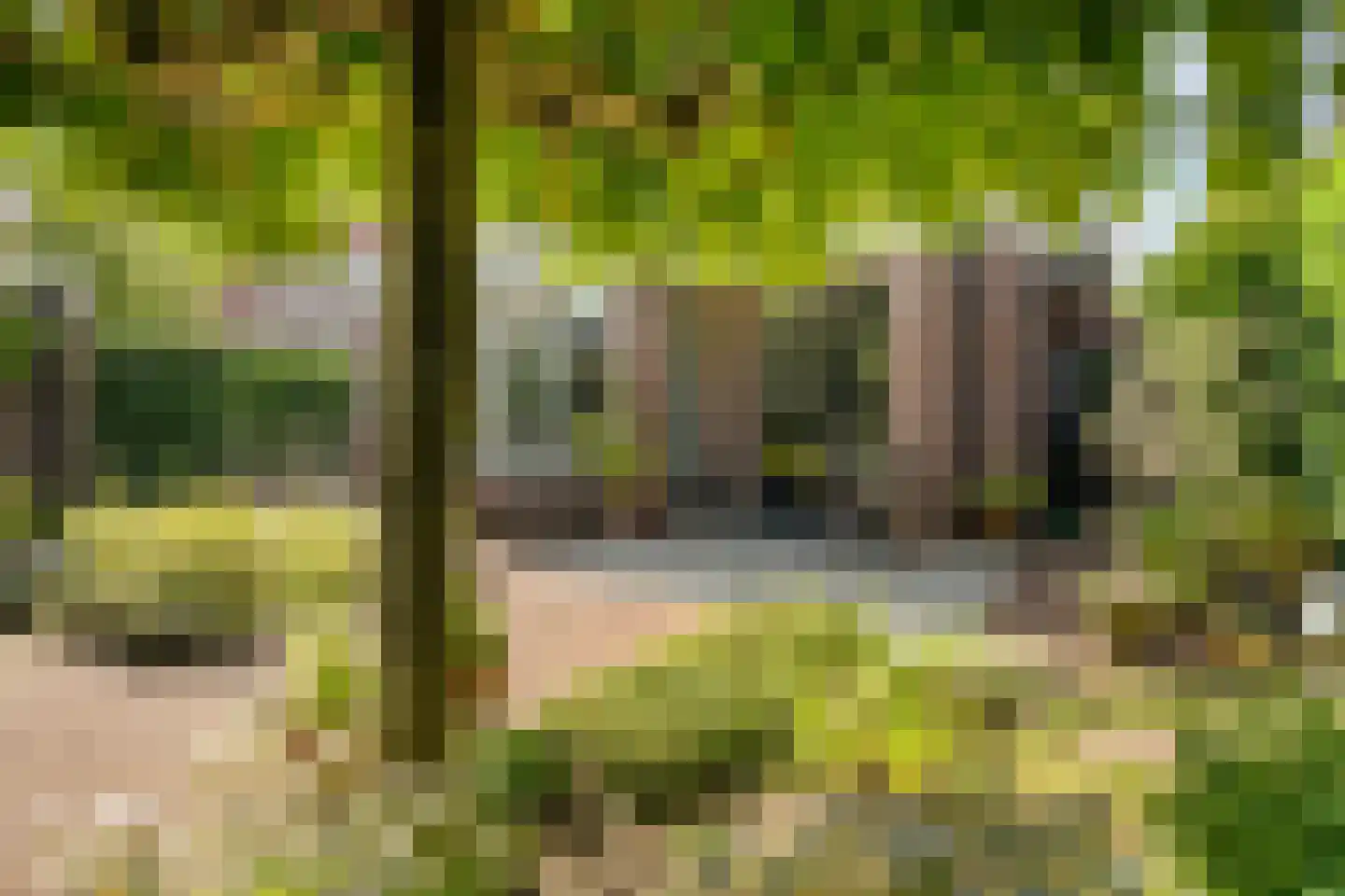 Nieuwenhoornstraat 5 Zoetermeer thumbnail 41