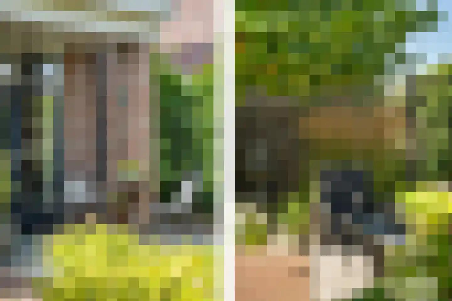 Nieuwenhoornstraat 5 Zoetermeer thumbnail 42