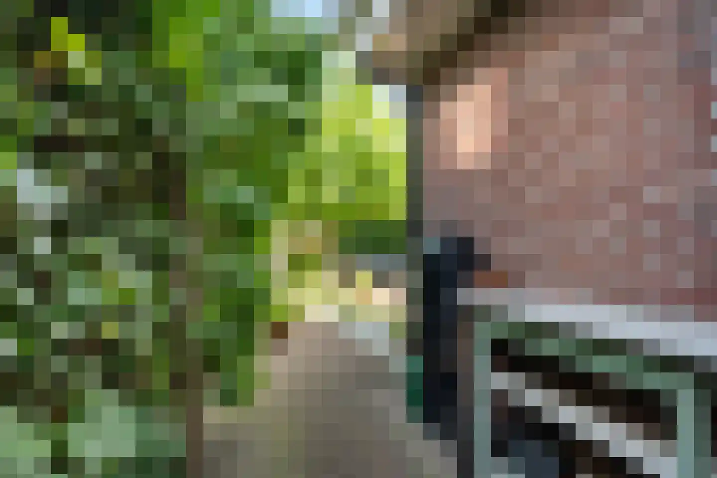 Nieuwenhoornstraat 5 Zoetermeer thumbnail 43