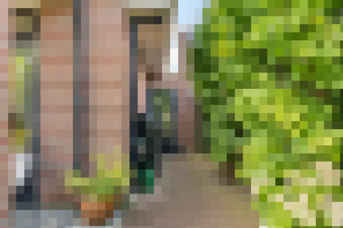 Nieuwenhoornstraat 5 Zoetermeer thumbnail 44