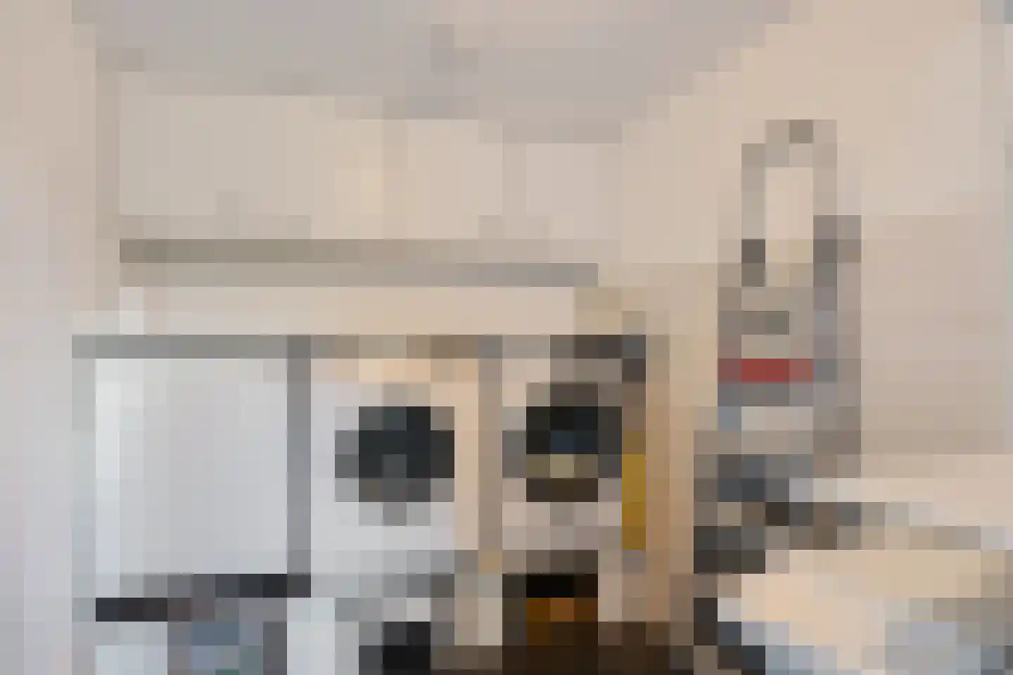 Nieuwenhoornstraat 5 Zoetermeer thumbnail 46