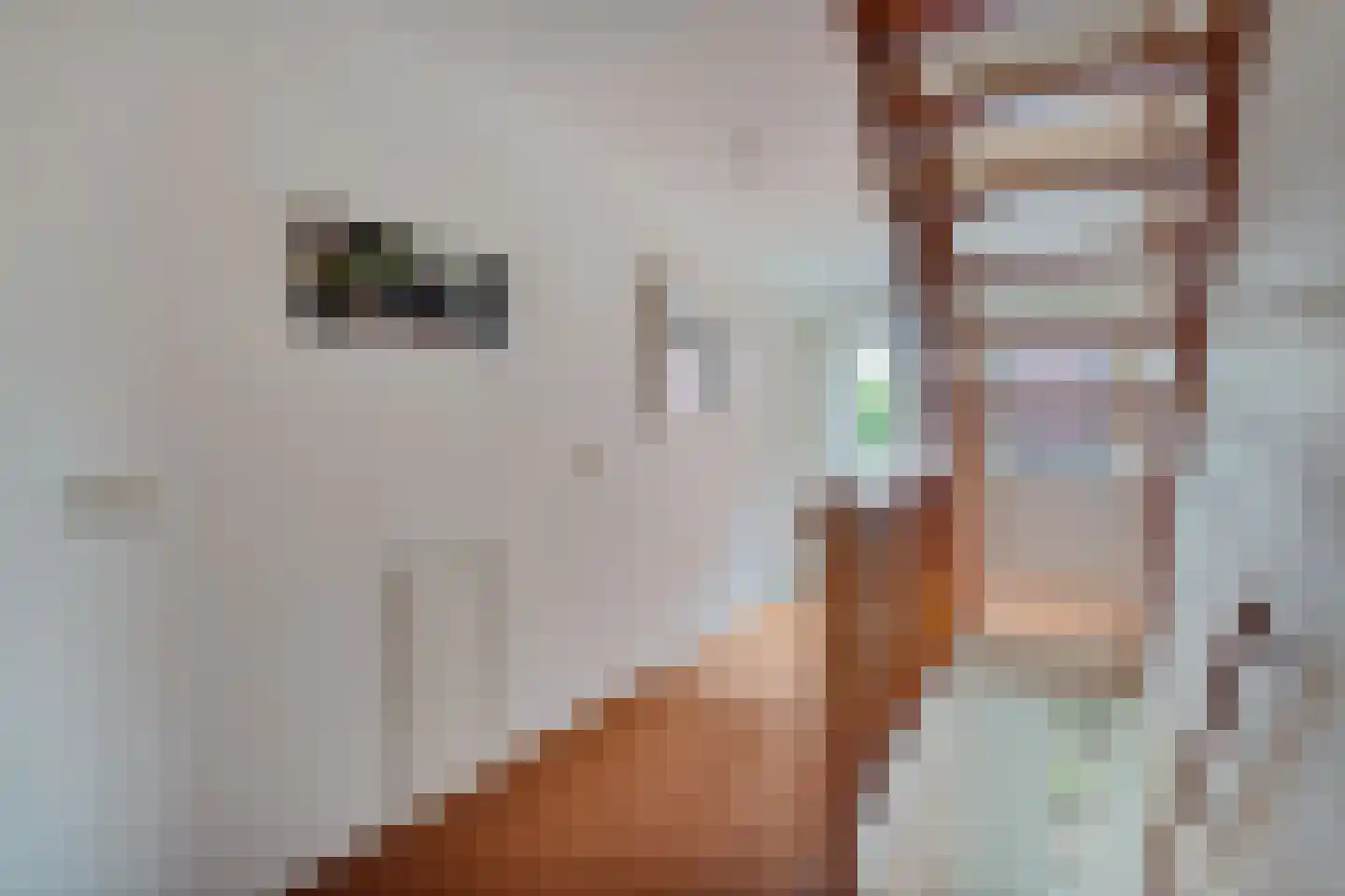 Nieuwenhoornstraat 5 Zoetermeer thumbnail 50