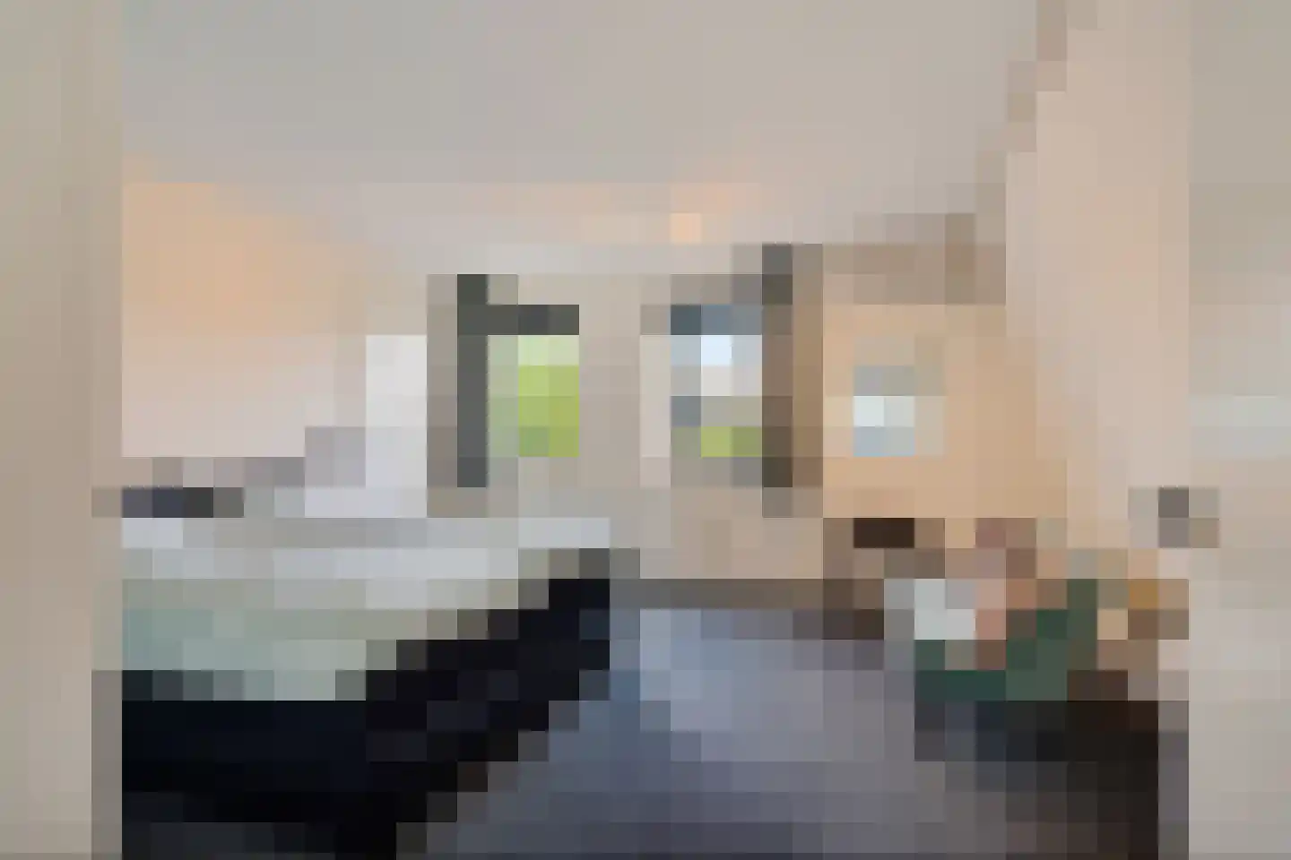 Nieuwenhoornstraat 5 Zoetermeer thumbnail 54