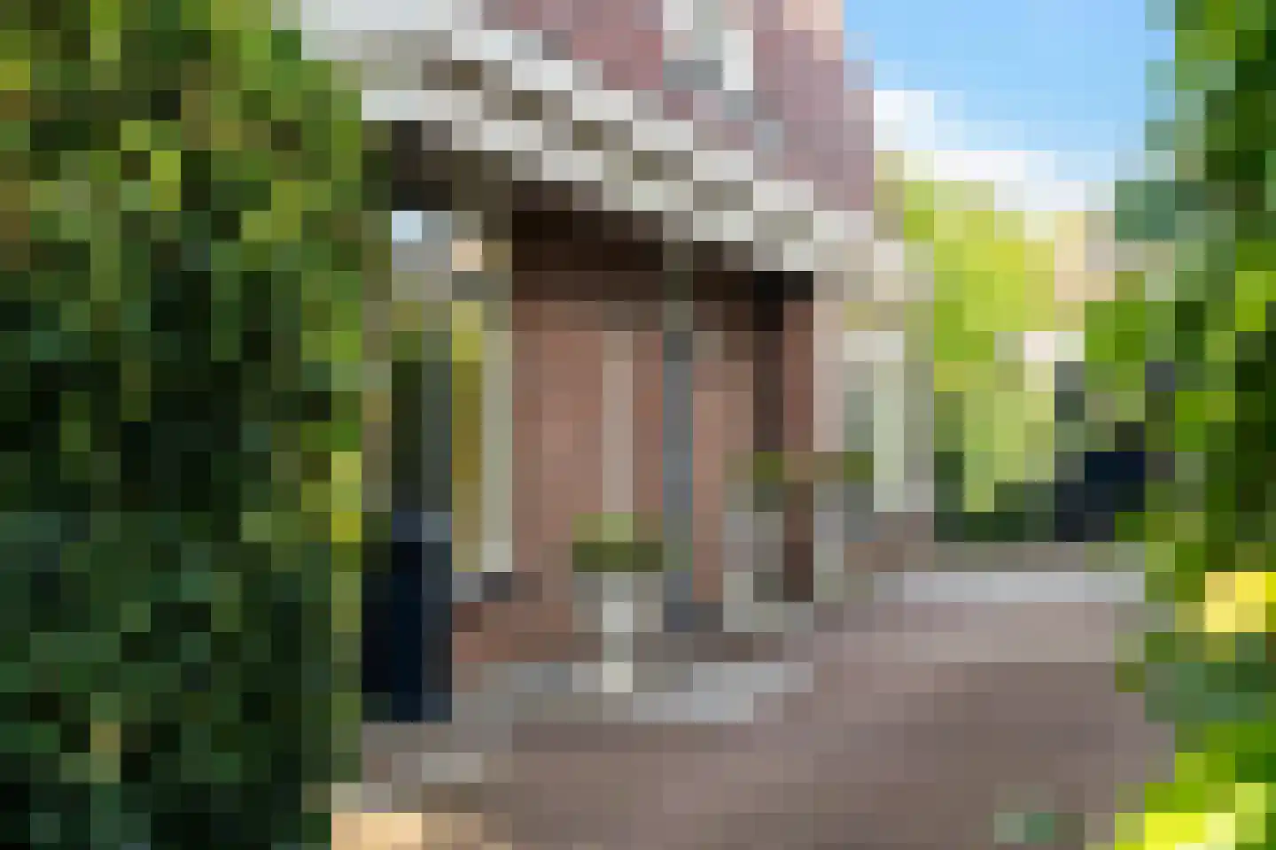 Nieuwenhoornstraat 5 Zoetermeer thumbnail 7