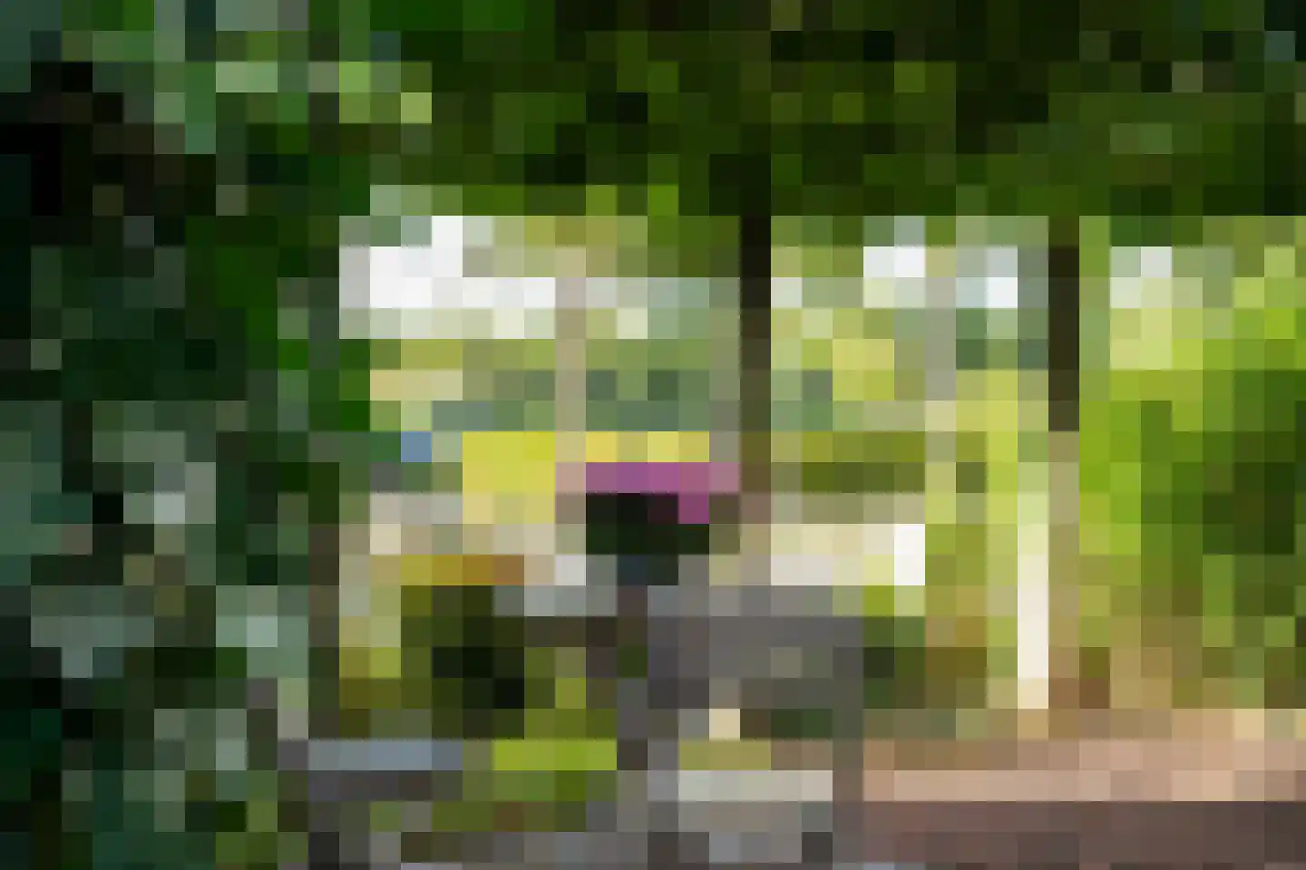 Nieuwenhoornstraat 5 Zoetermeer thumbnail 8