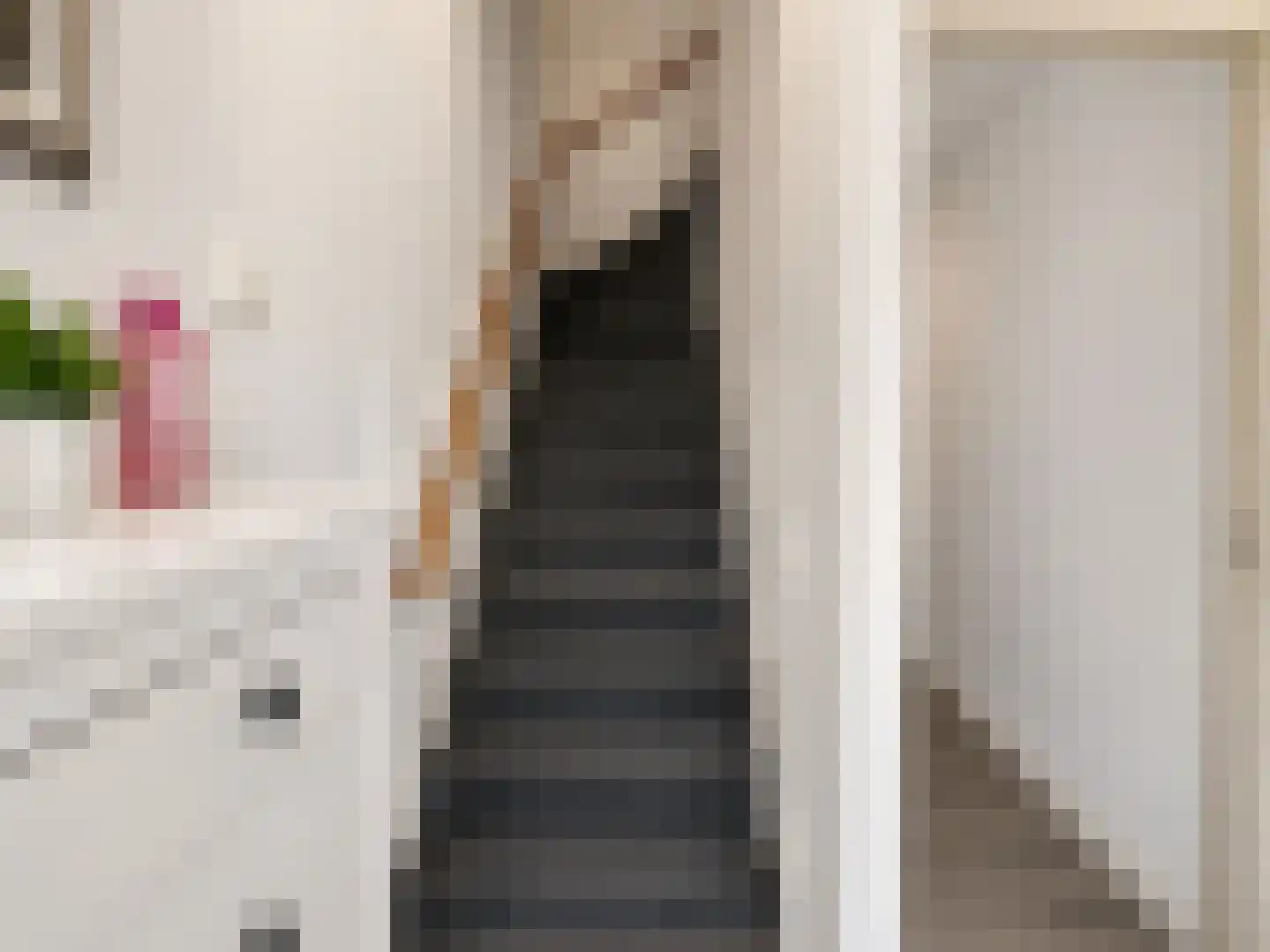 Nieuwenhoornstraat 55 Rotterdam thumbnail 11