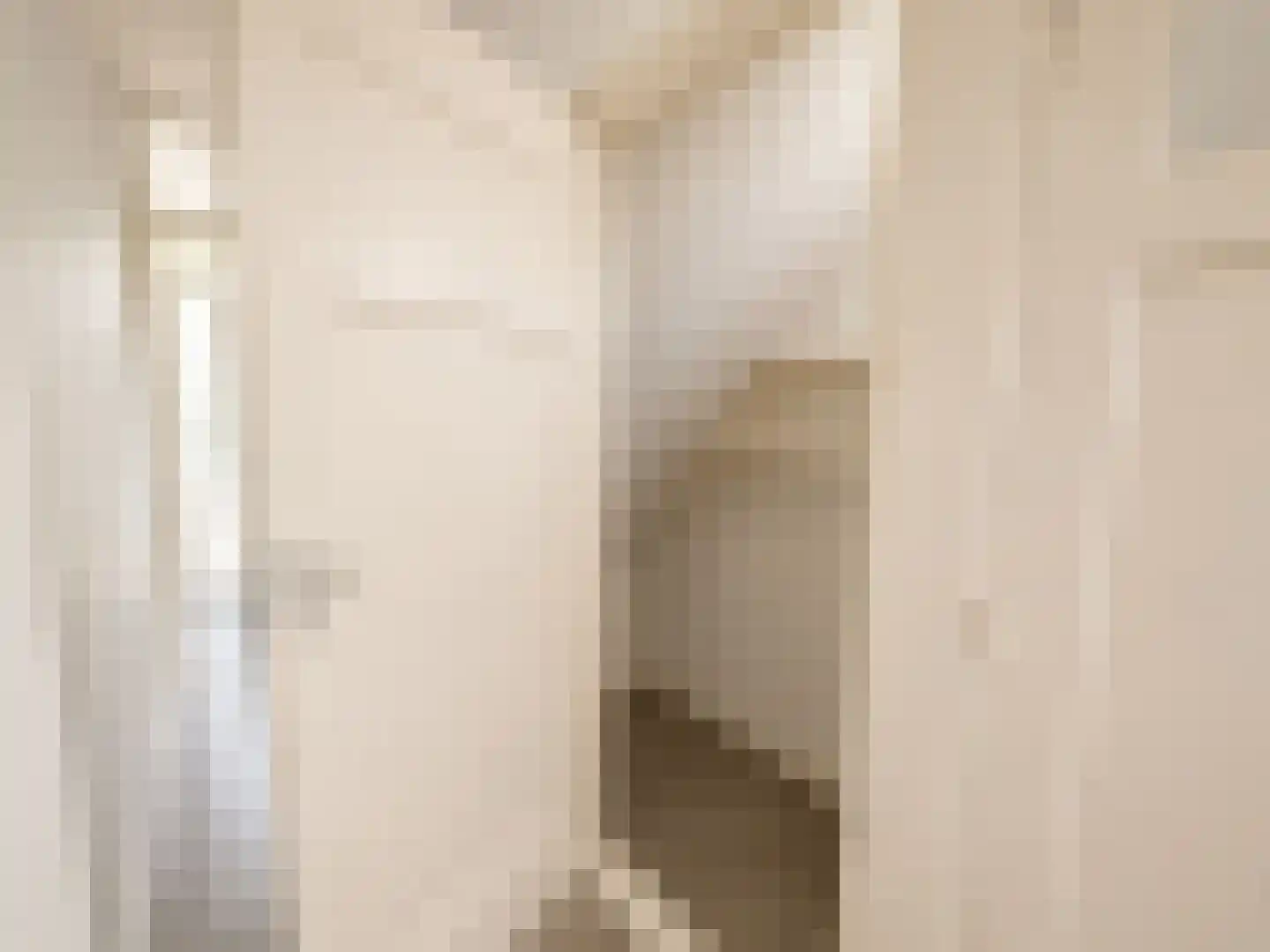 Nieuwenhoornstraat 55 Rotterdam thumbnail 13