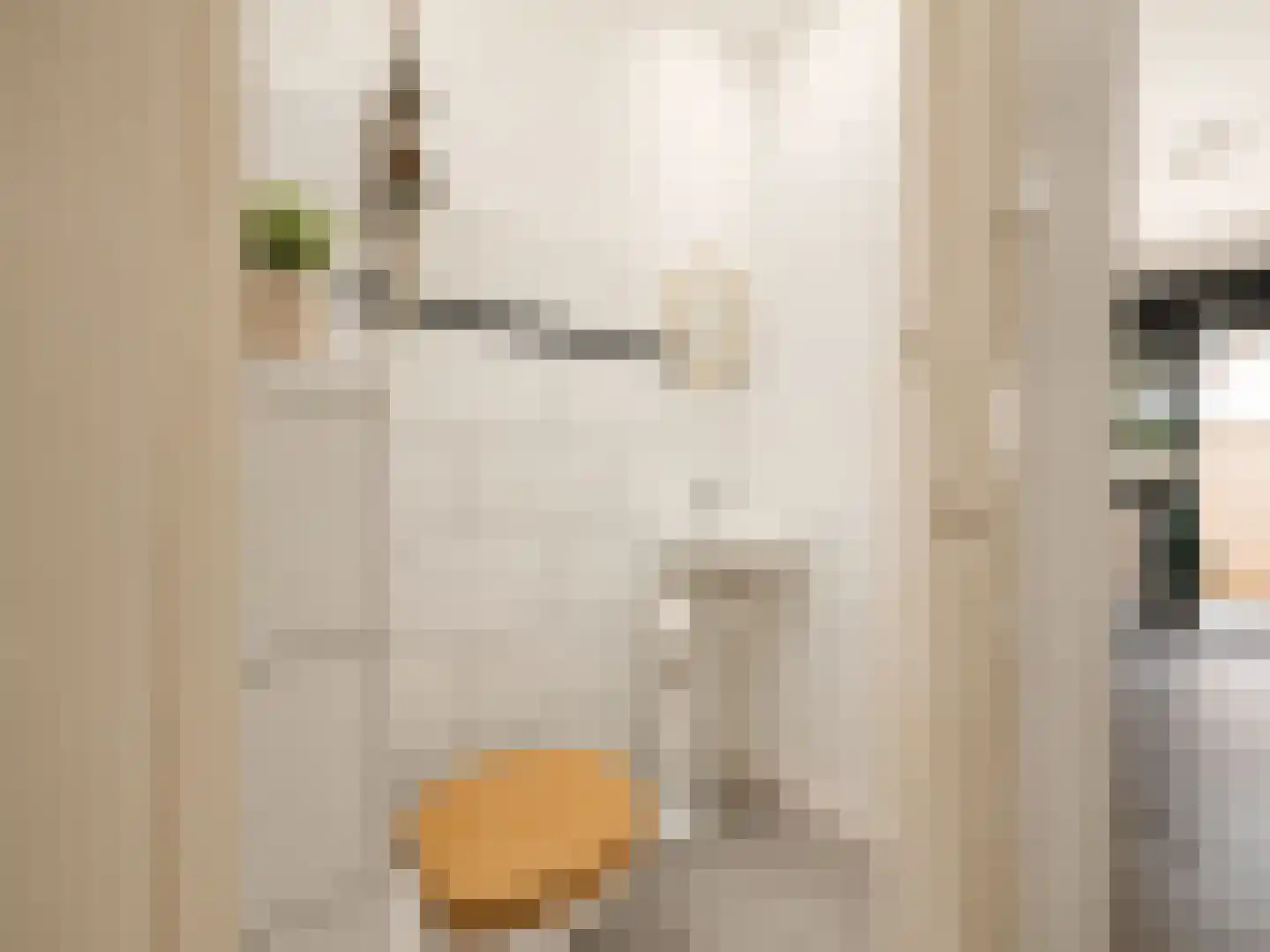 Nieuwenhoornstraat 55 Rotterdam thumbnail 14