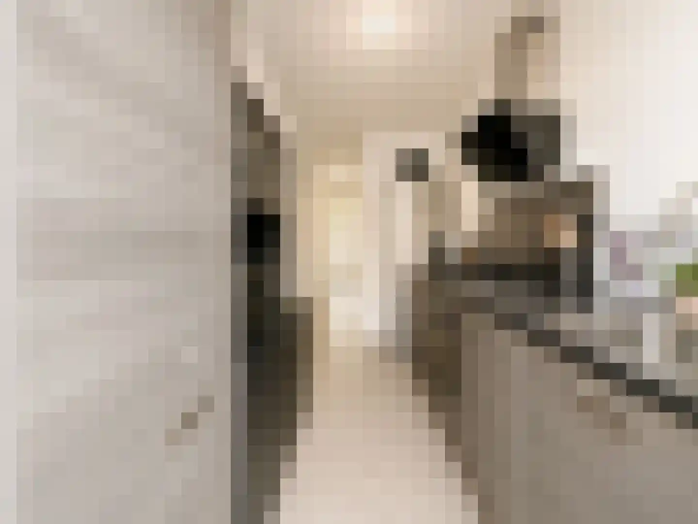 Nieuwenhoornstraat 55 Rotterdam thumbnail 15