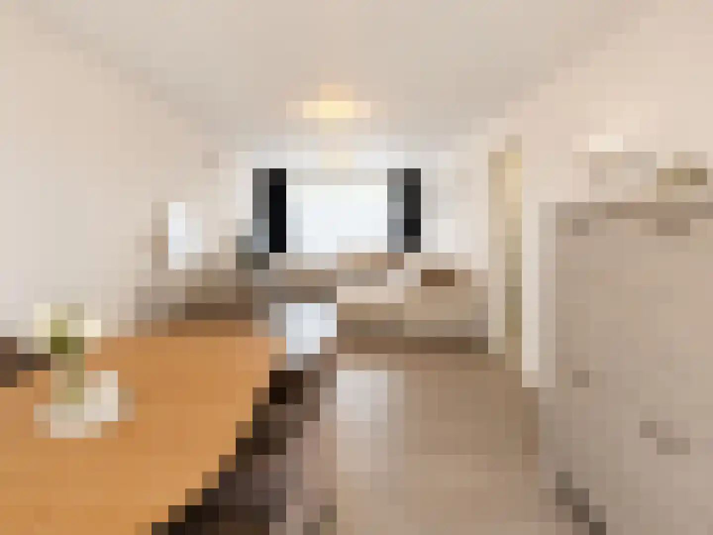 Nieuwenhoornstraat 55 Rotterdam thumbnail 16