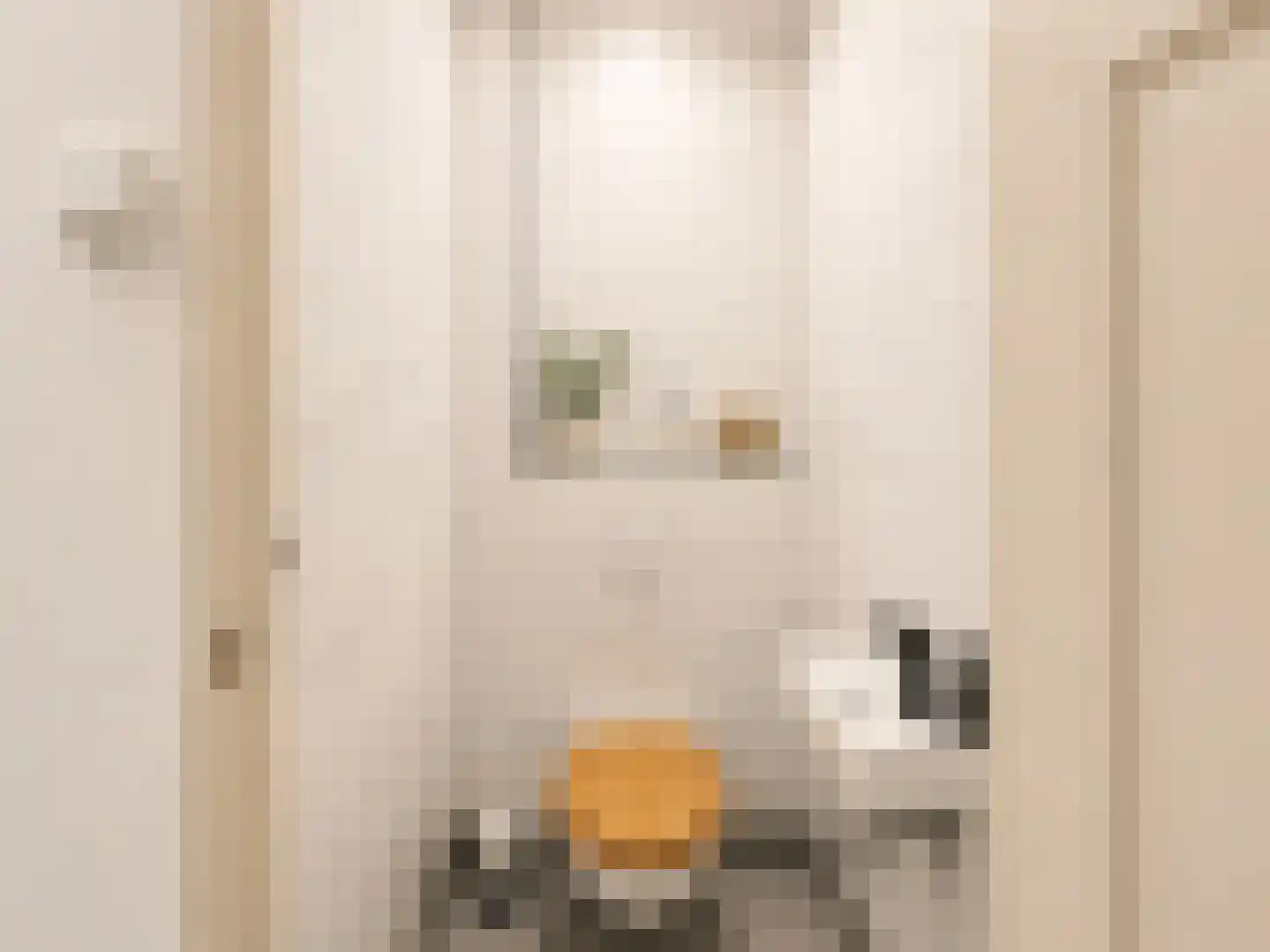 Nieuwenhoornstraat 55 Rotterdam thumbnail 19