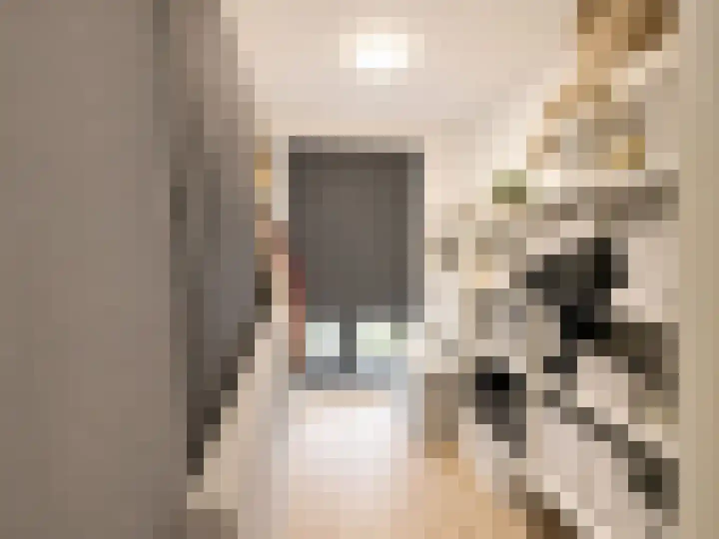 Nieuwenhoornstraat 55 Rotterdam thumbnail 20