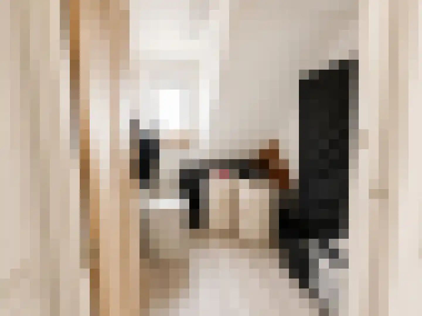 Nieuwenhoornstraat 55 Rotterdam thumbnail 27