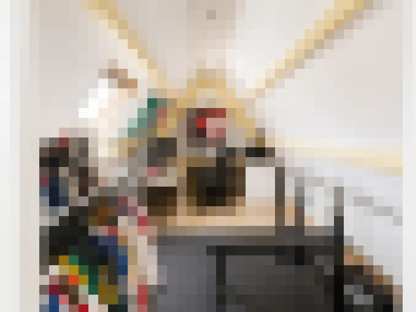 Nieuwenhoornstraat 55 Rotterdam thumbnail 31
