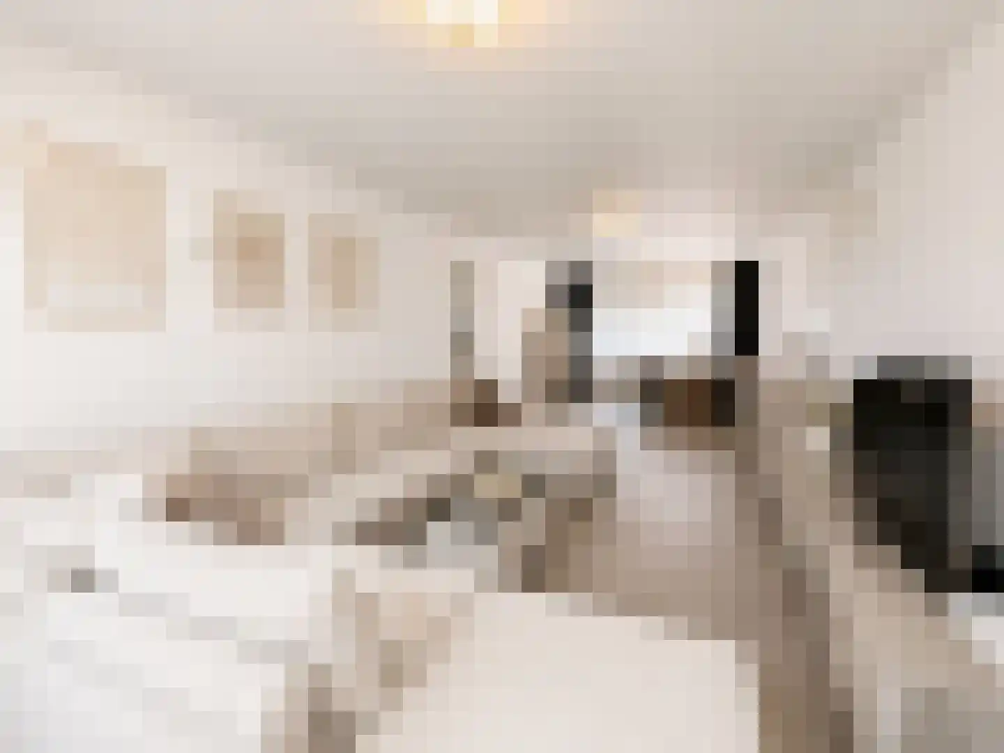 Nieuwenhoornstraat 55 Rotterdam thumbnail 4