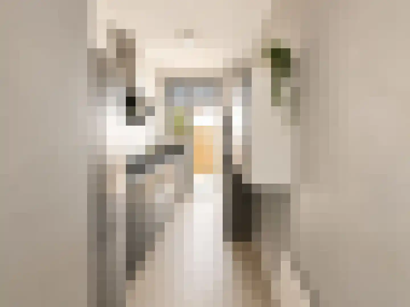 Nieuwenhoornstraat 55 Rotterdam thumbnail 5