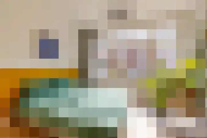 Nieuwenhoornstraat 71 B Rotterdam thumbnail 9