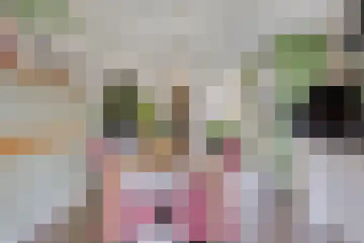 Nieuwenhove 13 Kruiningen thumbnail 10
