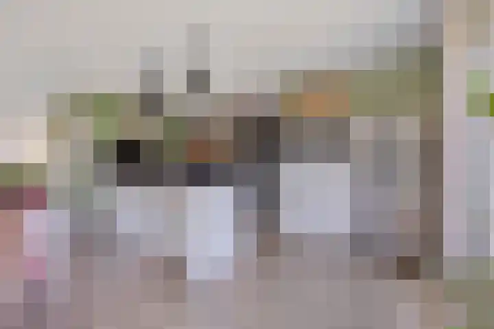 Nieuwenhove 13 Kruiningen thumbnail 11