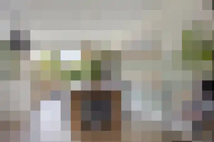 Nieuwenhove 13 Kruiningen thumbnail 16