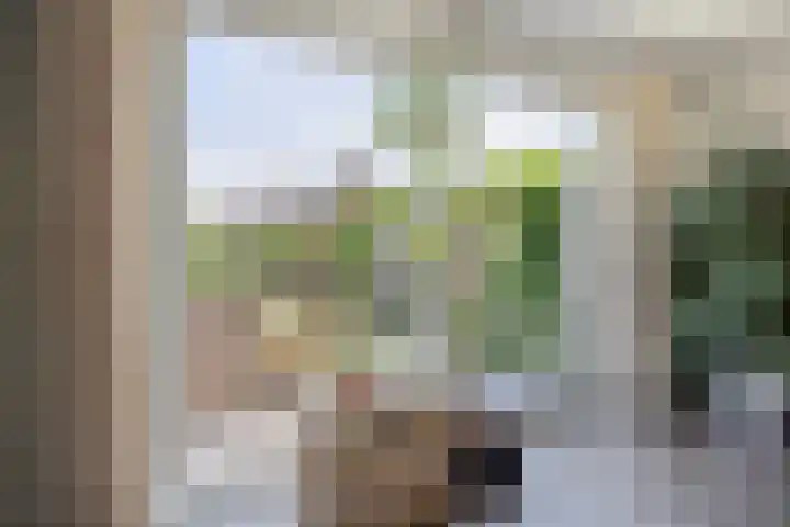 Nieuwenhove 13 Kruiningen thumbnail 17