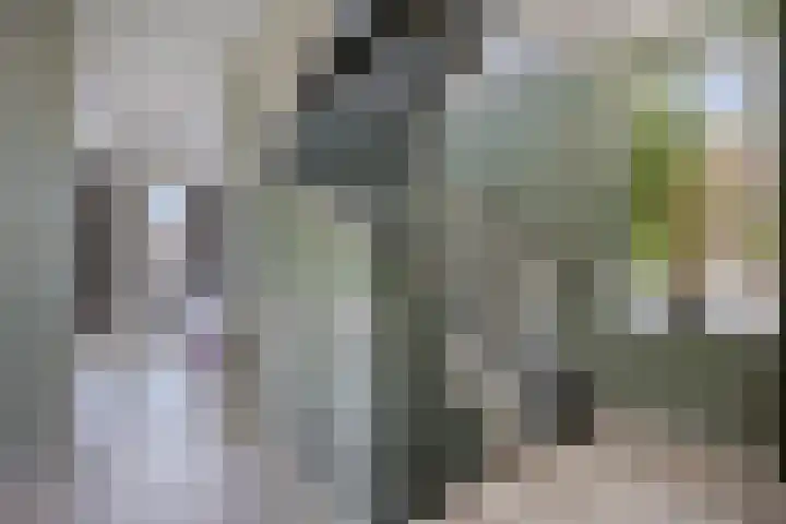 Nieuwenhove 13 Kruiningen thumbnail 18
