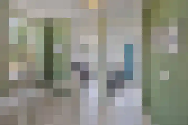 Nieuwenhove 13 Kruiningen thumbnail 19