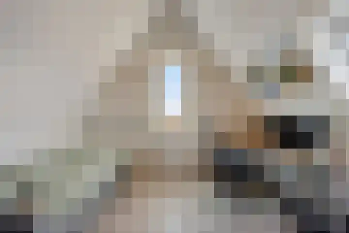 Nieuwenhove 13 Kruiningen thumbnail 30